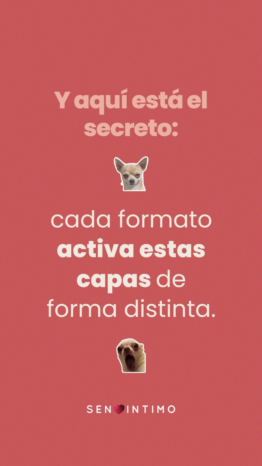 Promoción SEX SHOP LOVER'S